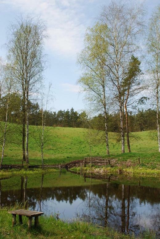 Pod Kogutkiem Villa Kruklanki Buitenkant foto